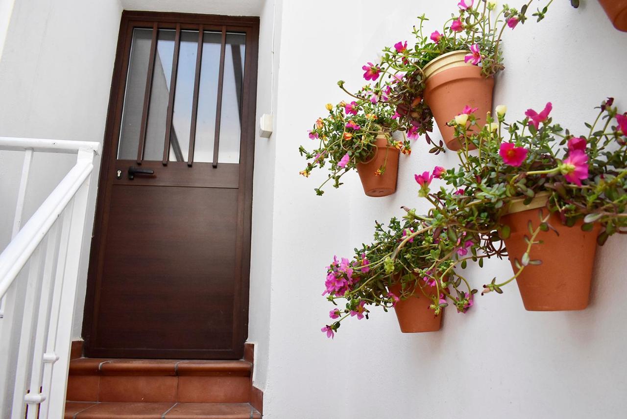 Casa Calma Ronda Estudio Daire Dış mekan fotoğraf